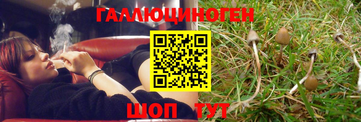 Псилоцибиновые грибы мухоморы  Вход с VPN  цены   Кольчугино 